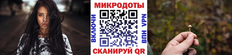 наркота  Кудрово  Псилоцибиновые грибы Psilocybe 